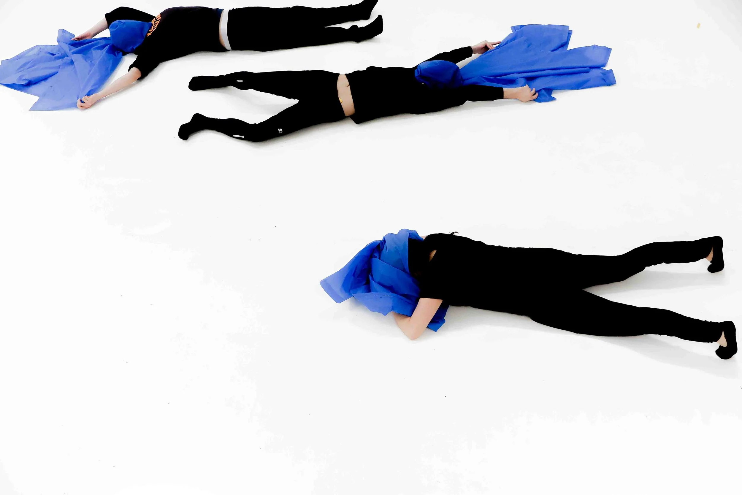 La cabeza en azul Zuadd Atala