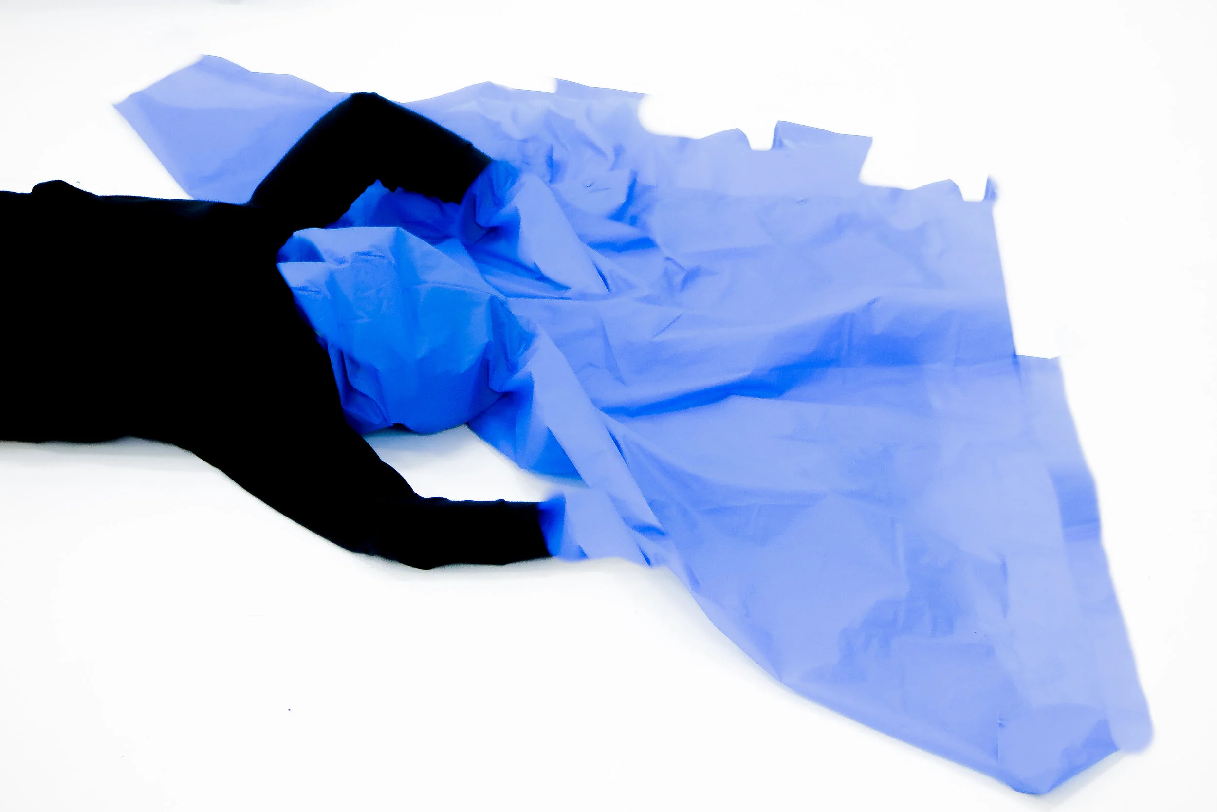 La cabeza en azul Zuadd Atala