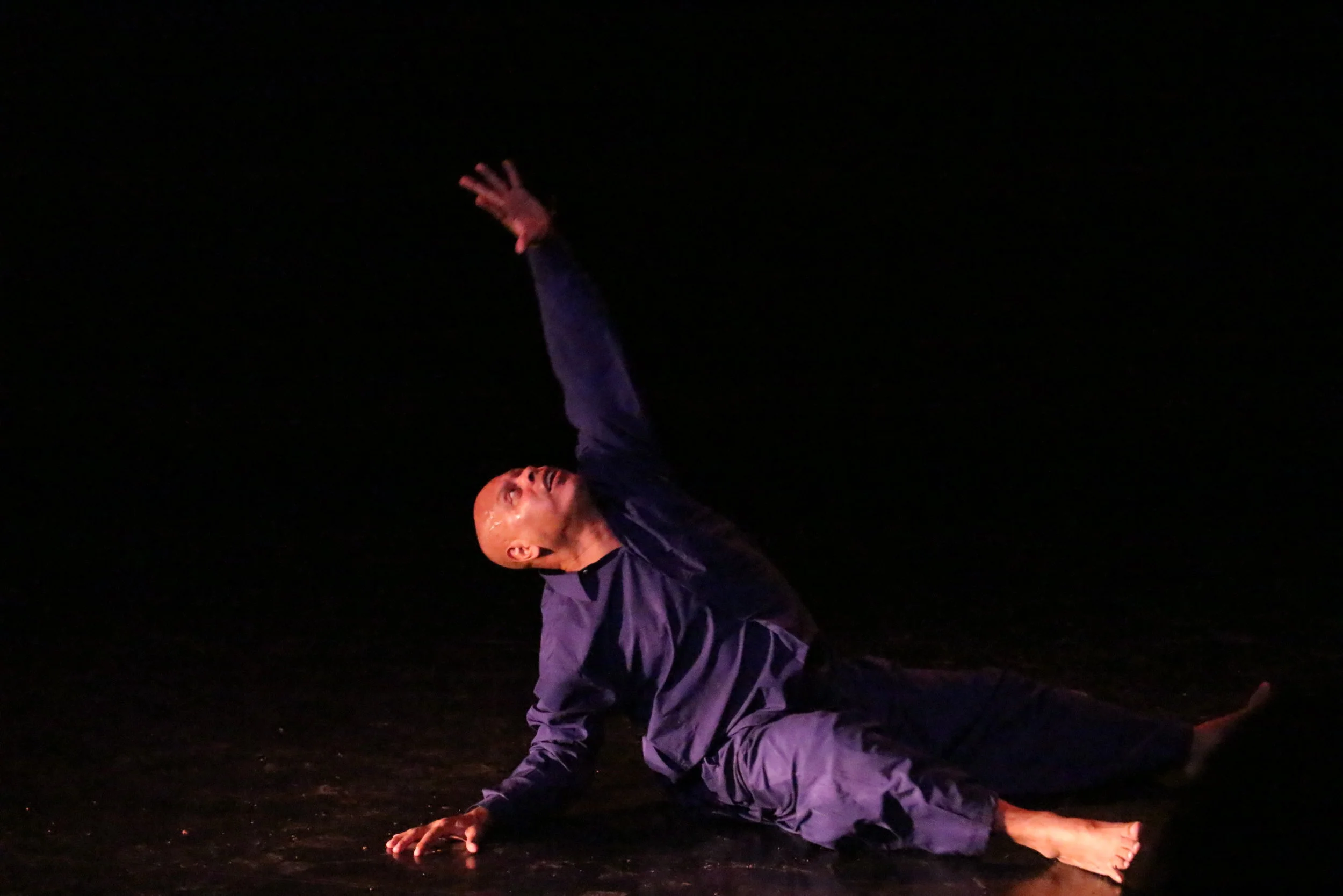 Colegio de coreógrafos / El llamado a la danza, In Memoriam