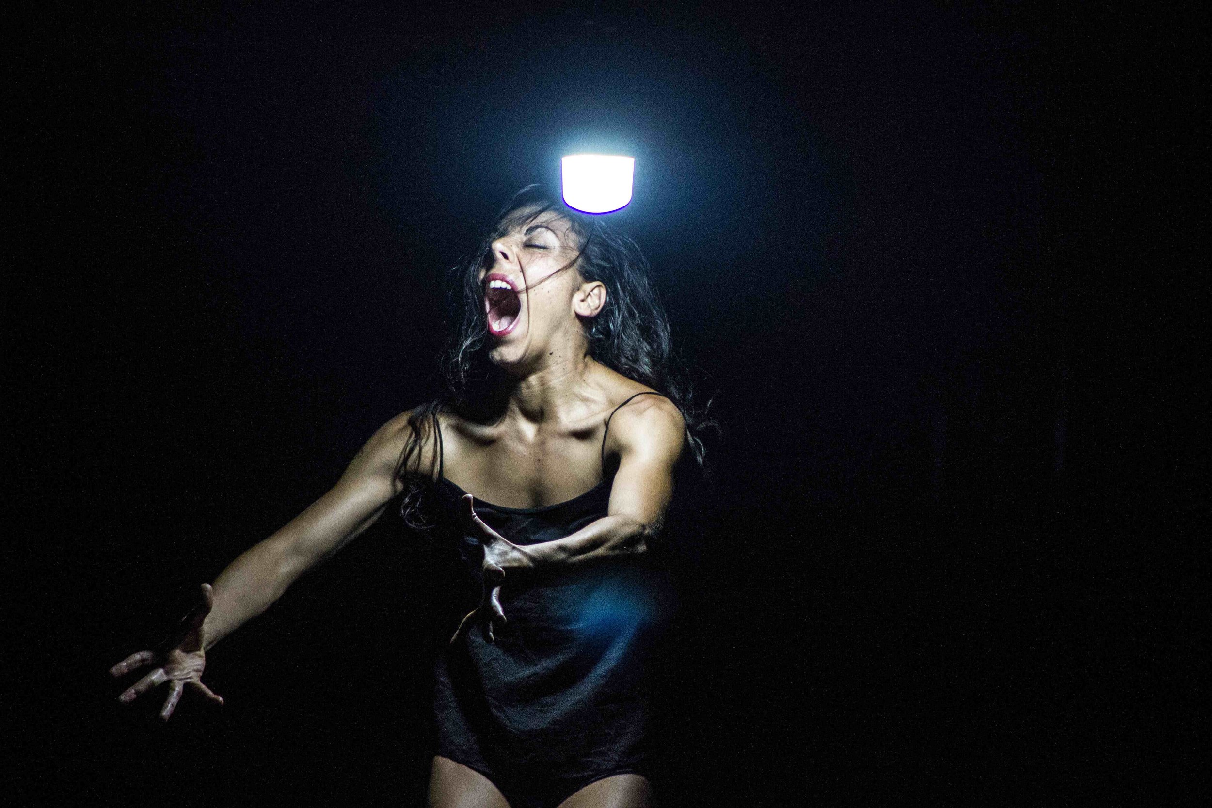 Fóramen M.  / Gesto animal. Temporada de XX años