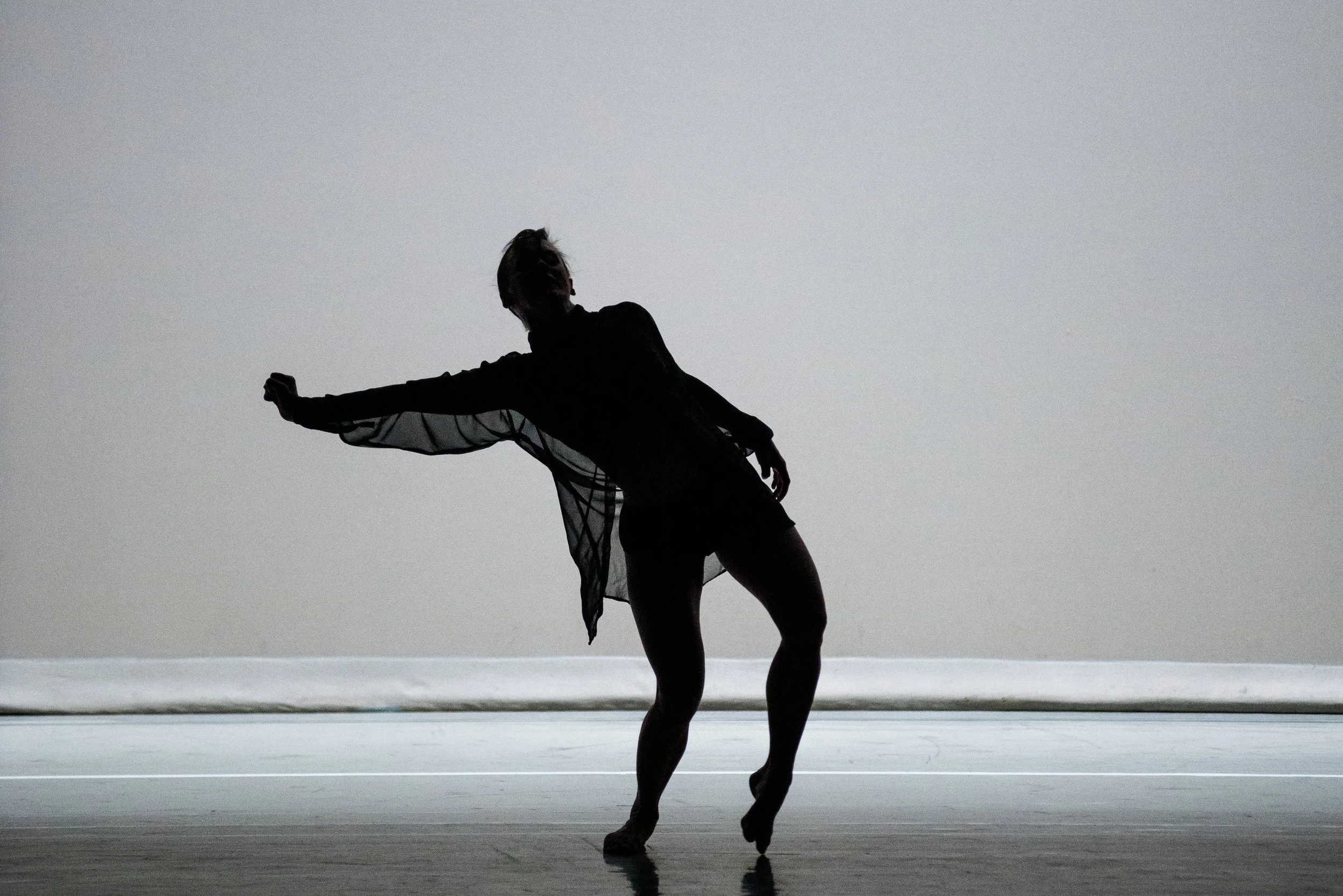Temporada 102 - Taller Coreográfico de la UNAM