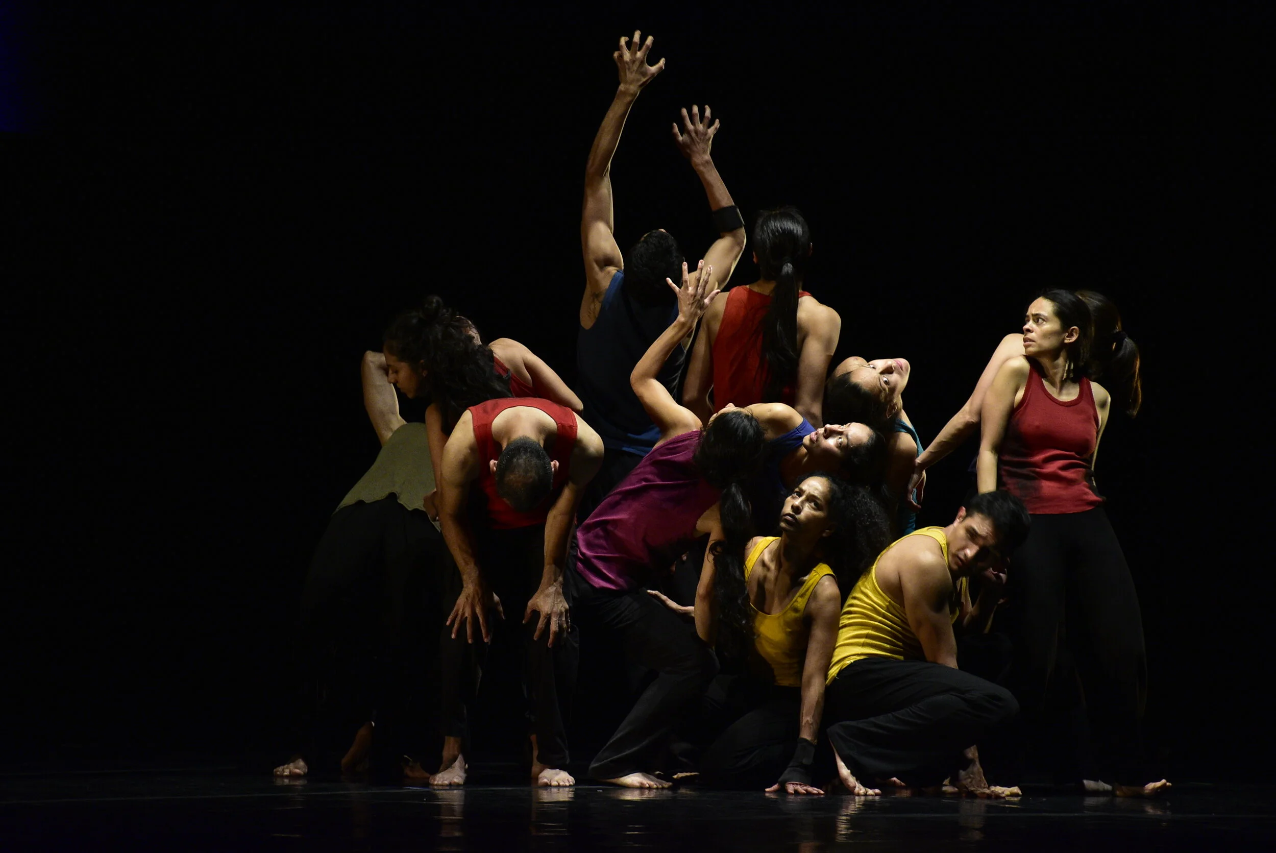 Migrantes  DramaDanza / Dir. Rossana Filomarino.