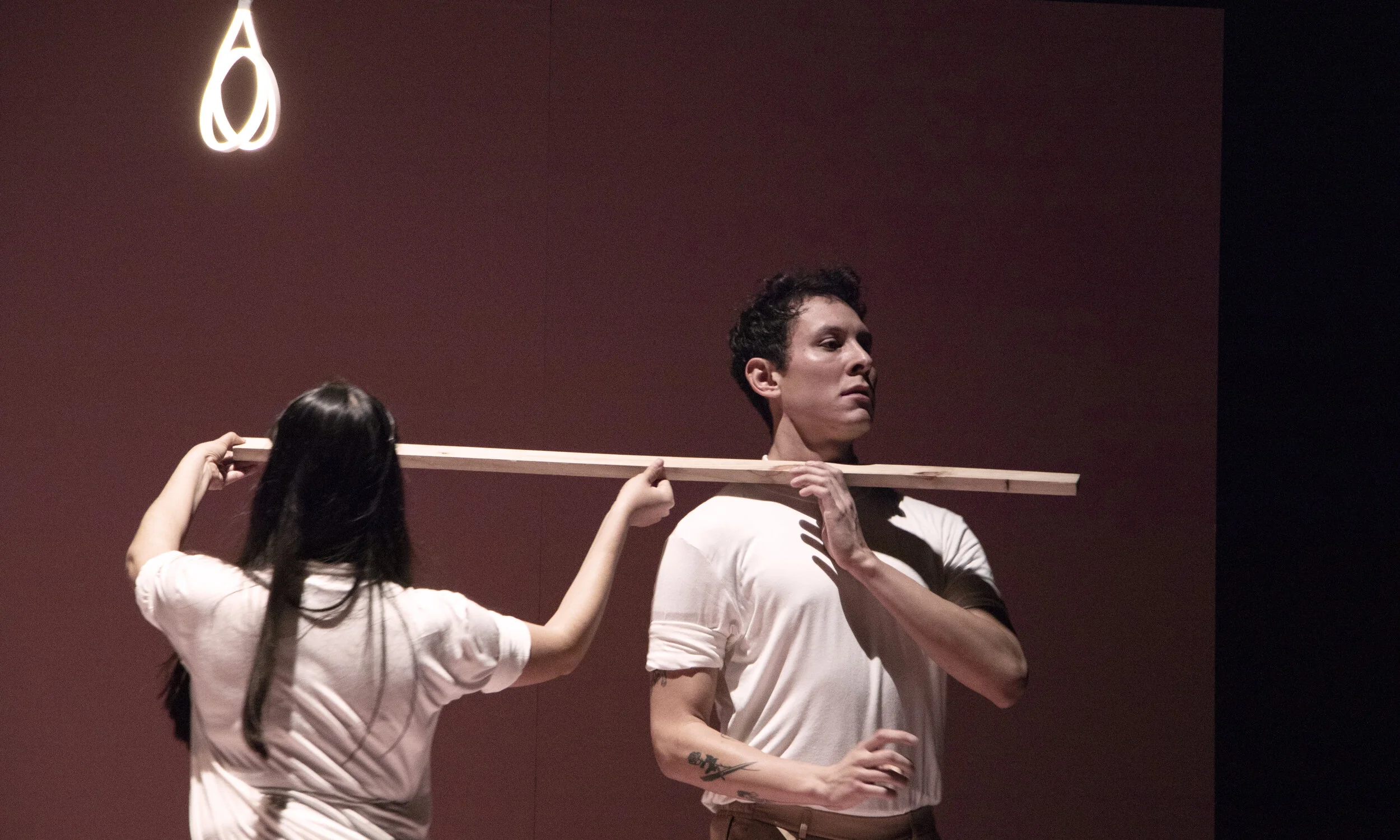Trilogía Vol. 2  Estudios sobre el espacio y el paisaje,  Dir. Colectivo Querido Venado