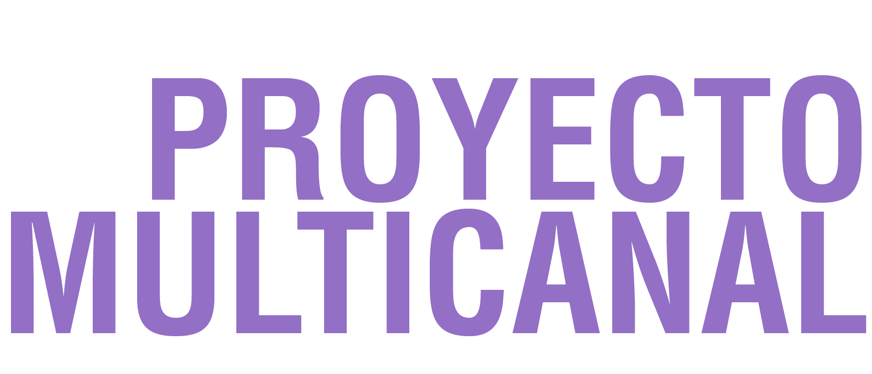 PROYECTO MULTICANAL@2x.png
