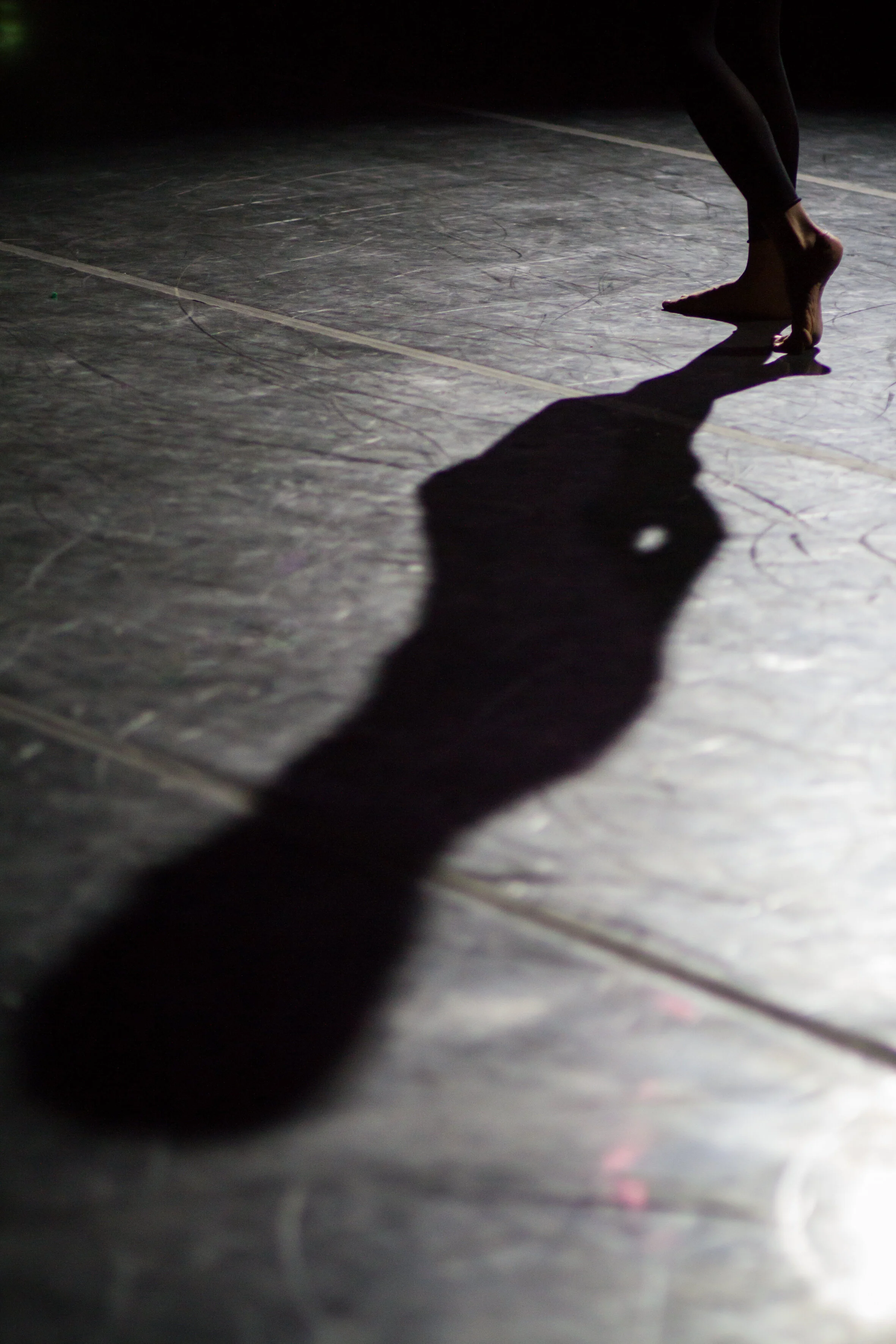 Resultados de la convocatoria Cuerpos Migrantes