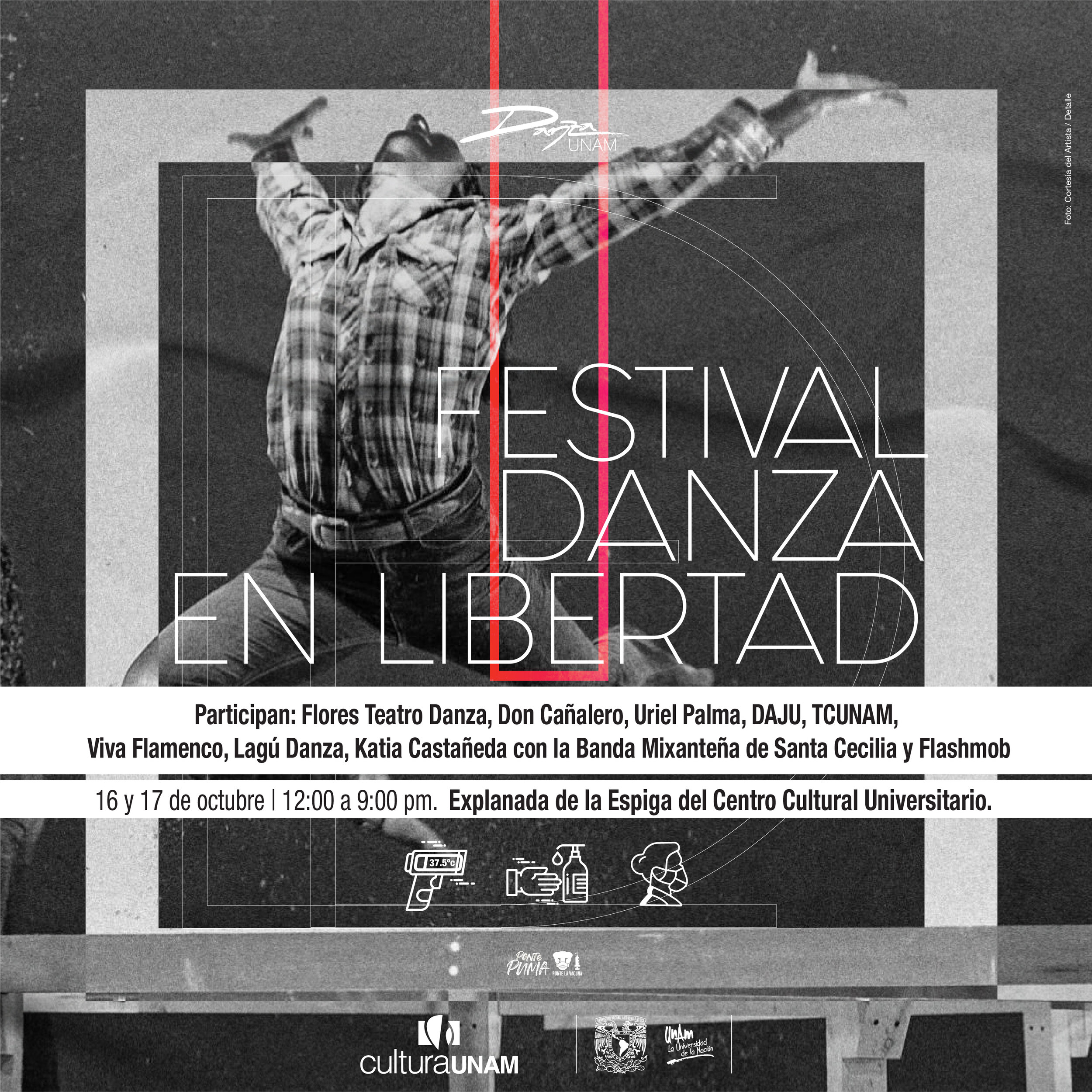 Boletín de medios: Festival Danza en Libertad
