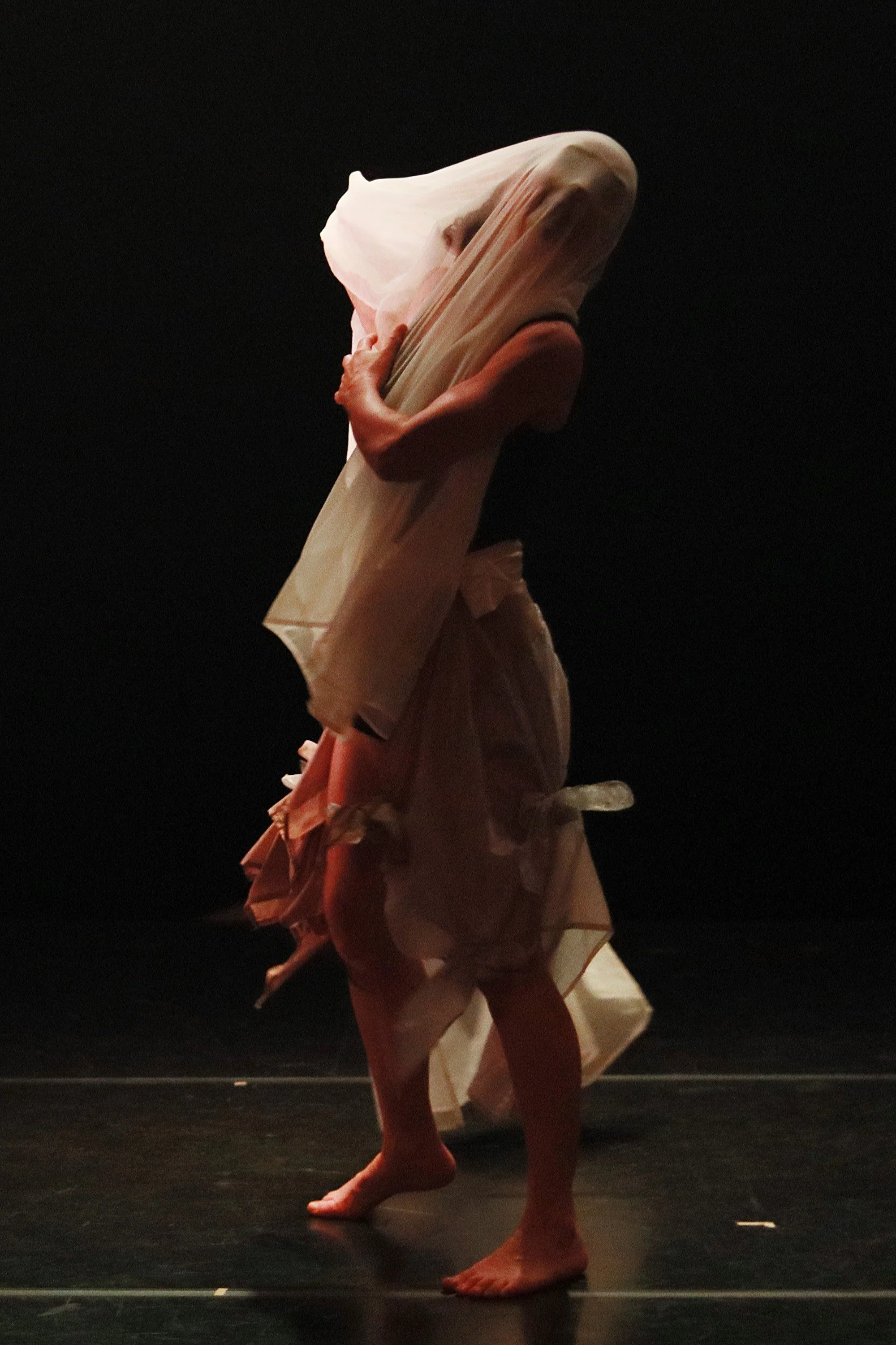 Micelio - MdMar Danza