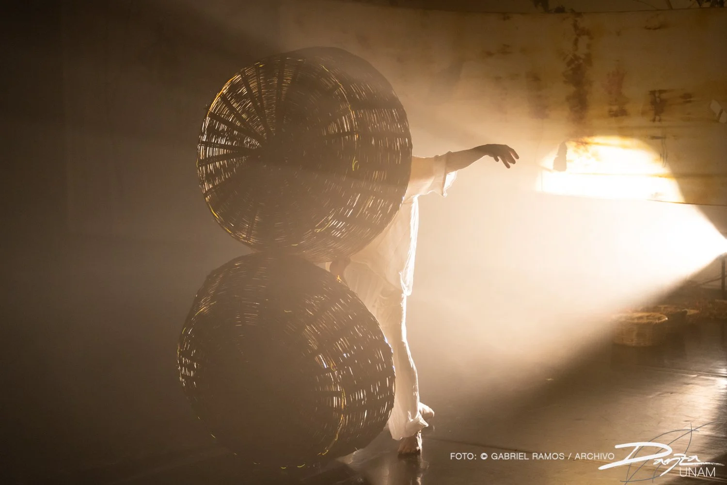Bajolasombra-RosarioArmenta-DanzaUNAM-FotoGabrielRamos-Isoptica_DSC2095-2.jpg
