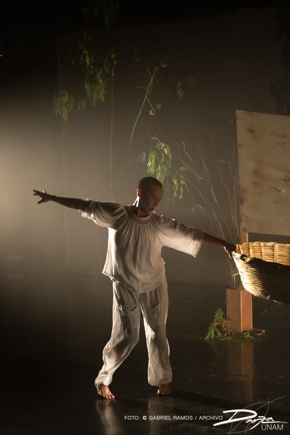 Bajolasombra-RosarioArmenta-DanzaUNAM-FotoGabrielRamos-Isoptica_DSC2132-2.jpg