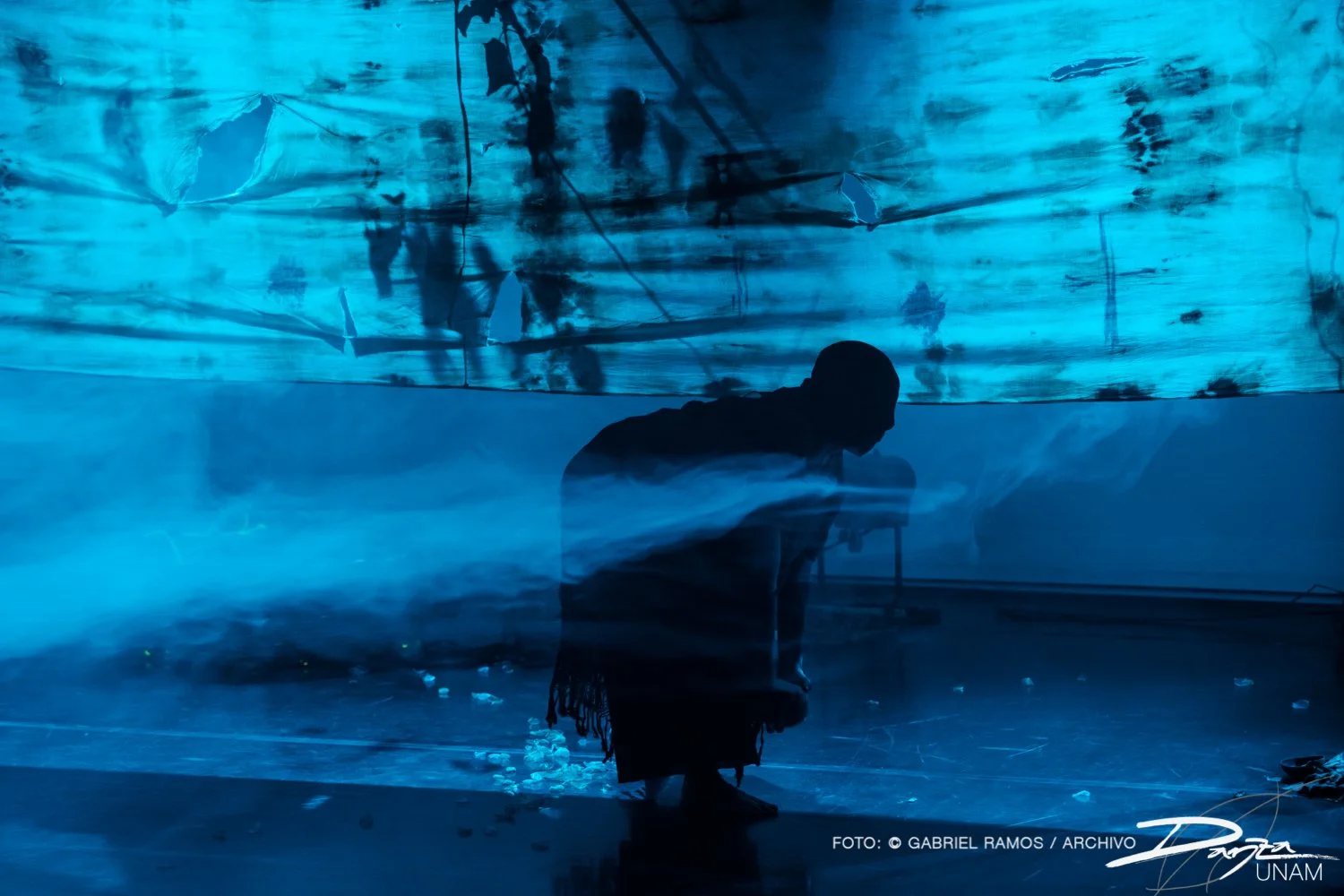 Bajolasombra-RosarioArmenta-DanzaUNAM-FotoGabrielRamos-Isoptica_DSC2165-2.jpg