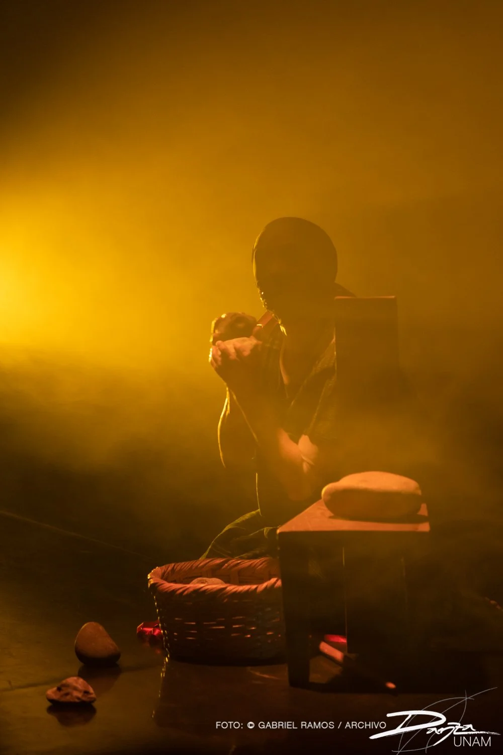 Bajolasombra-RosarioArmenta-DanzaUNAM-FotoGabrielRamos-Isoptica_DSC2191-2.jpg