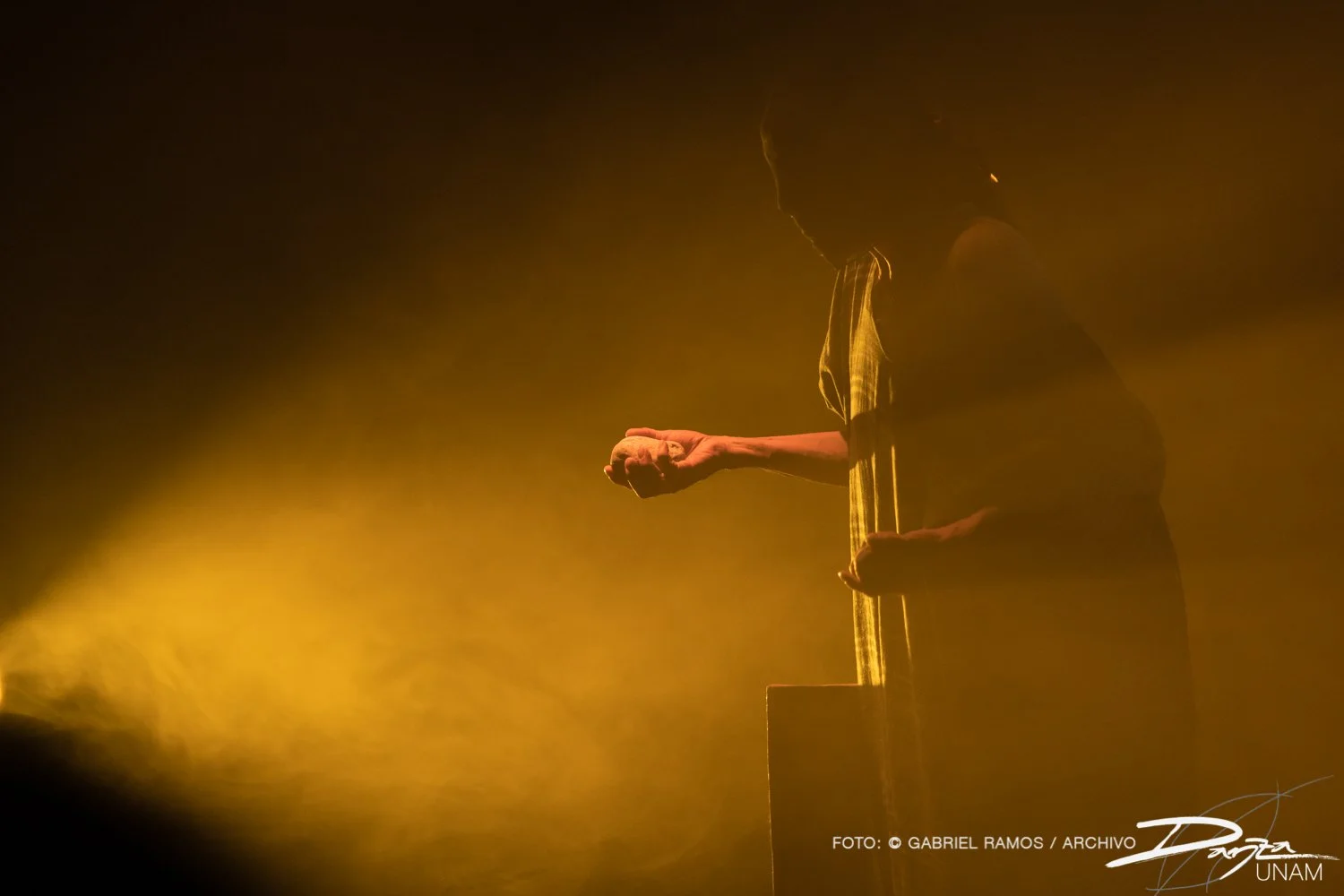 Bajolasombra-RosarioArmenta-DanzaUNAM-FotoGabrielRamos-Isoptica_DSC2196-2.jpg