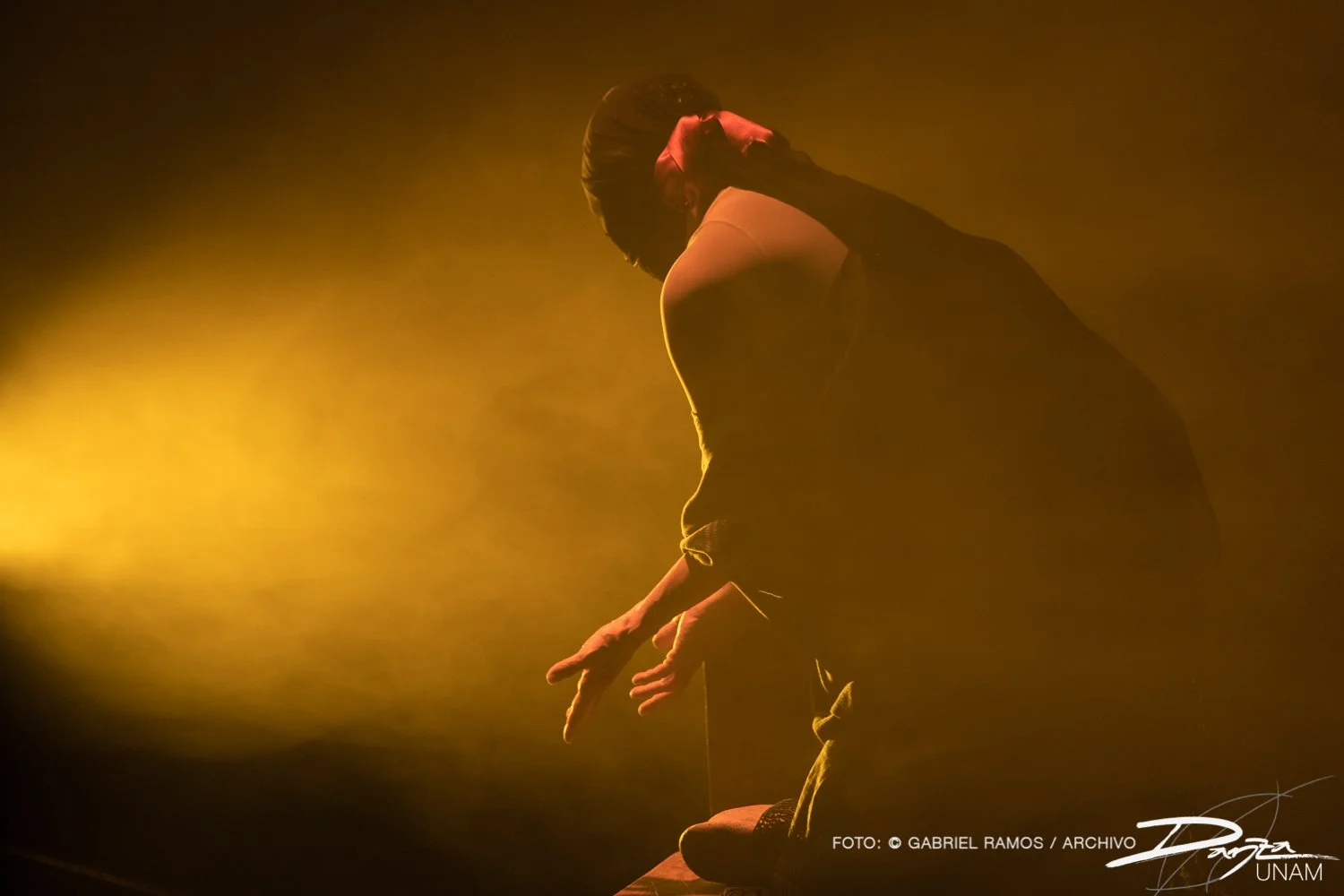 Bajolasombra-RosarioArmenta-DanzaUNAM-FotoGabrielRamos-Isoptica_DSC2199-2.jpg