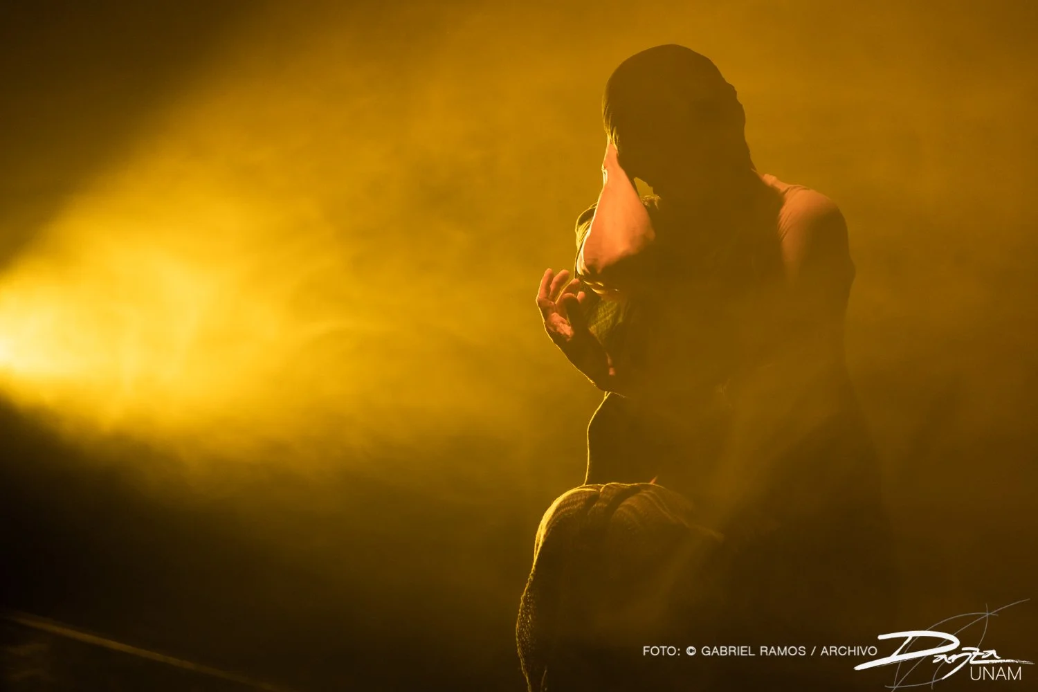Bajolasombra-RosarioArmenta-DanzaUNAM-FotoGabrielRamos-Isoptica_DSC2203-2.jpg