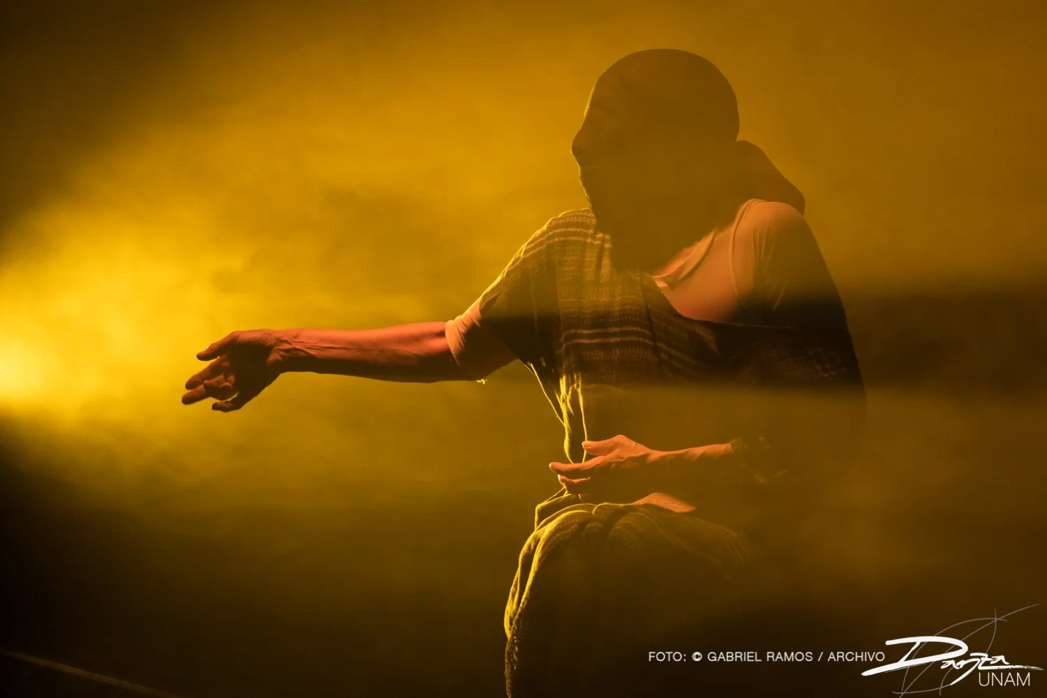 Bajolasombra-RosarioArmenta-DanzaUNAM-FotoGabrielRamos-Isoptica_DSC2205-2.jpg