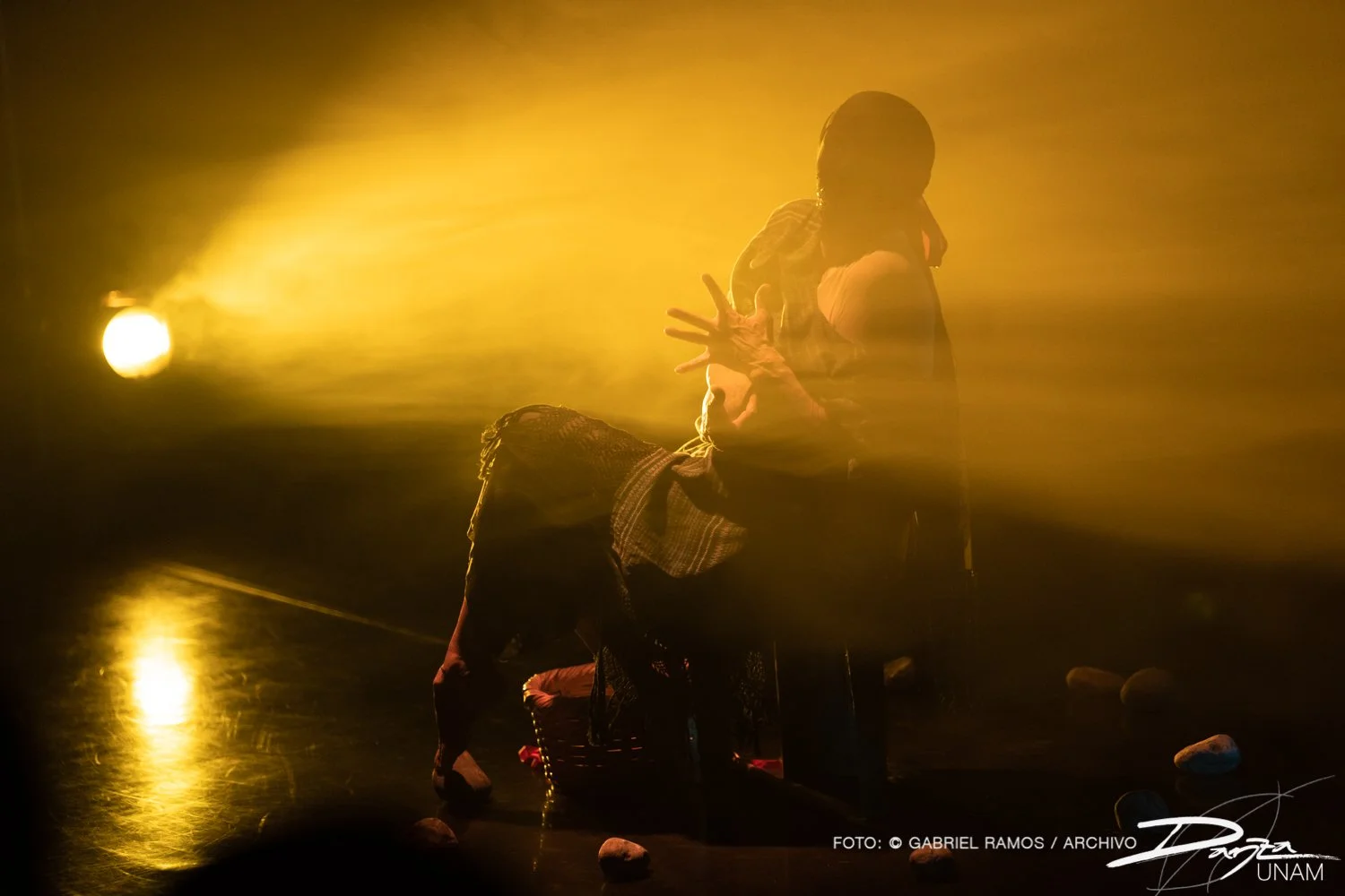 Bajolasombra-RosarioArmenta-DanzaUNAM-FotoGabrielRamos-Isoptica_DSC2222-2.jpg