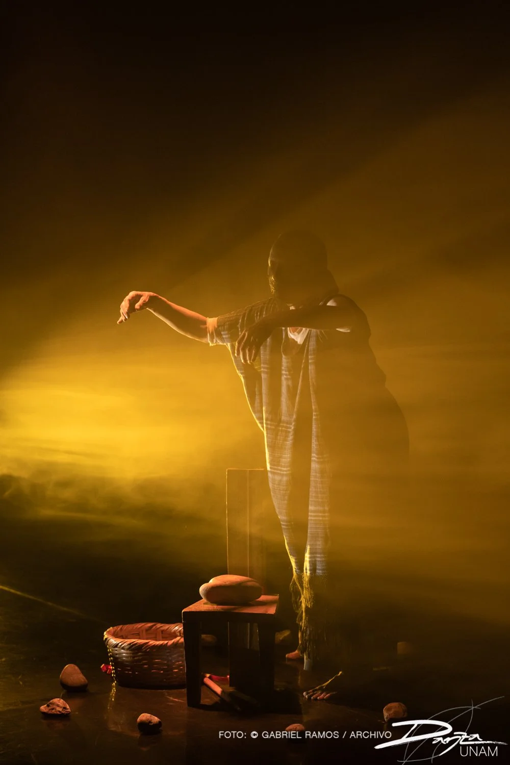 Bajolasombra-RosarioArmenta-DanzaUNAM-FotoGabrielRamos-Isoptica_DSC2236-2.jpg