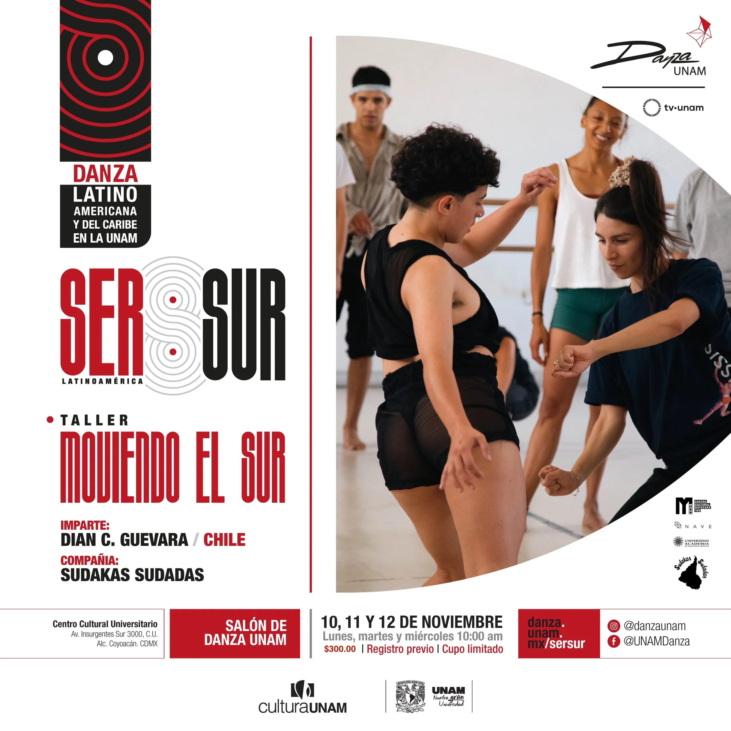 MOVIENDO EL SUR TALLER_distribucion_BANNER REDES.jpg