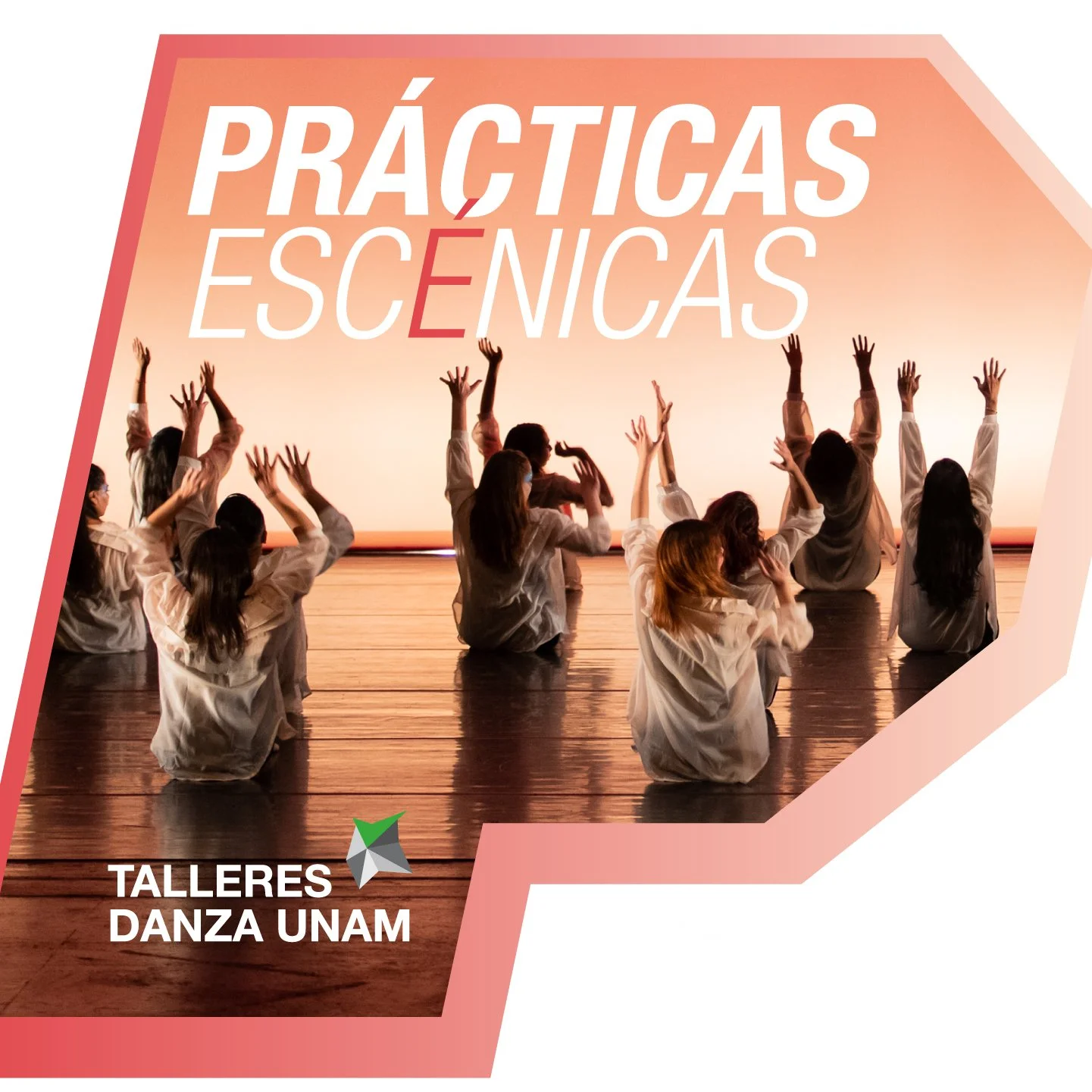 practicas escénicas_BANNER WEB.jpg