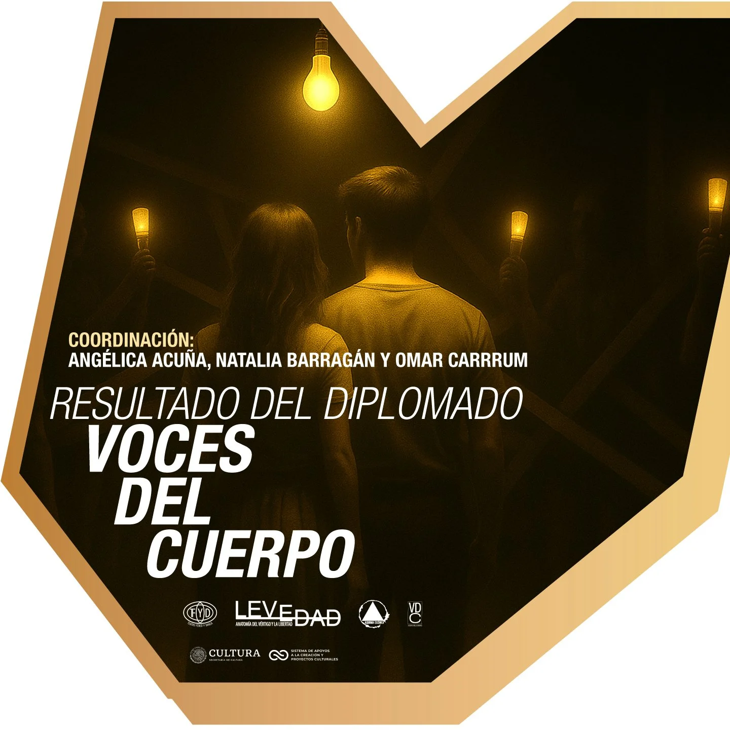 DIPLO VOCES_BANNER WEB.jpg