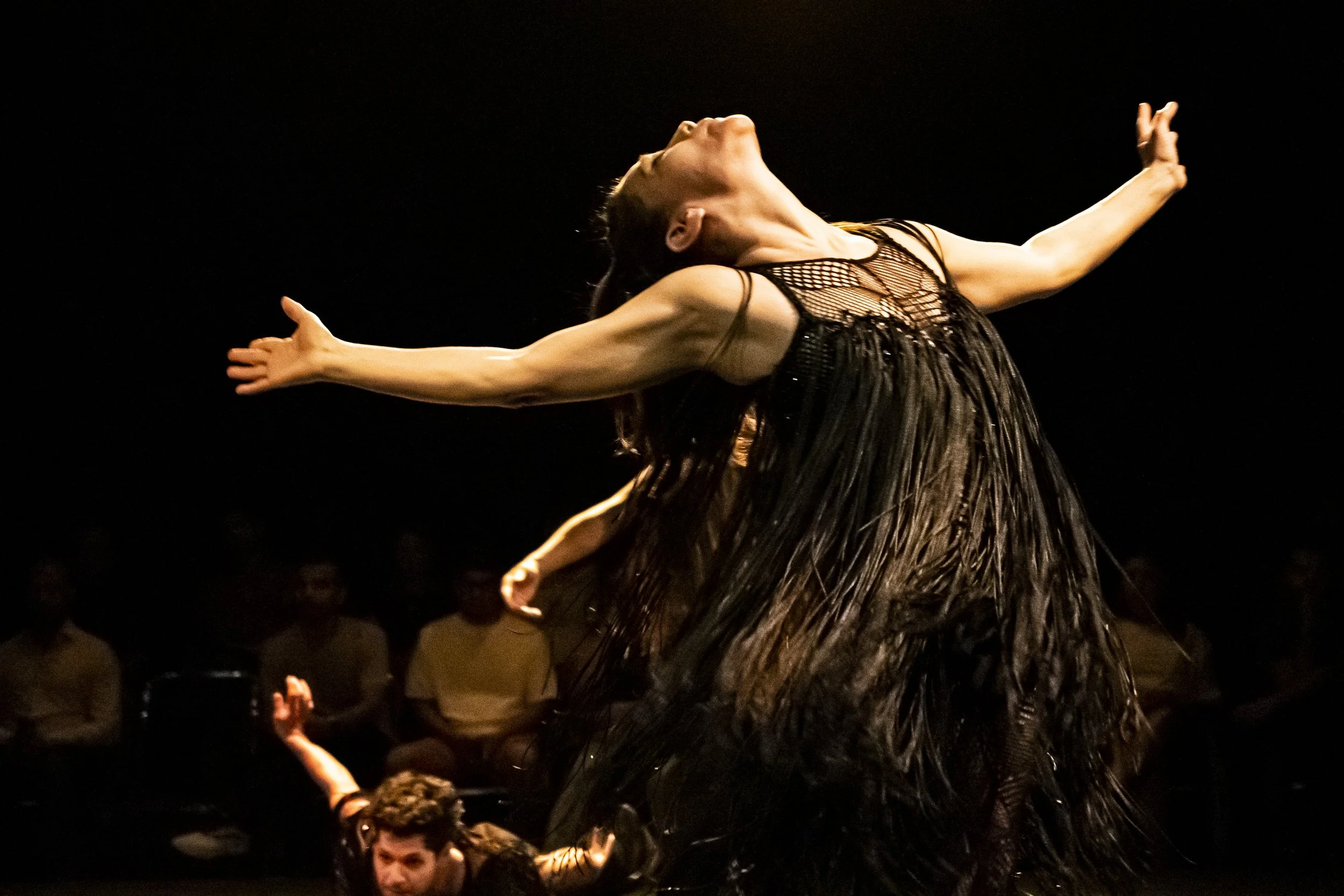 Pagano - Antares Danza Contemporánea AC
