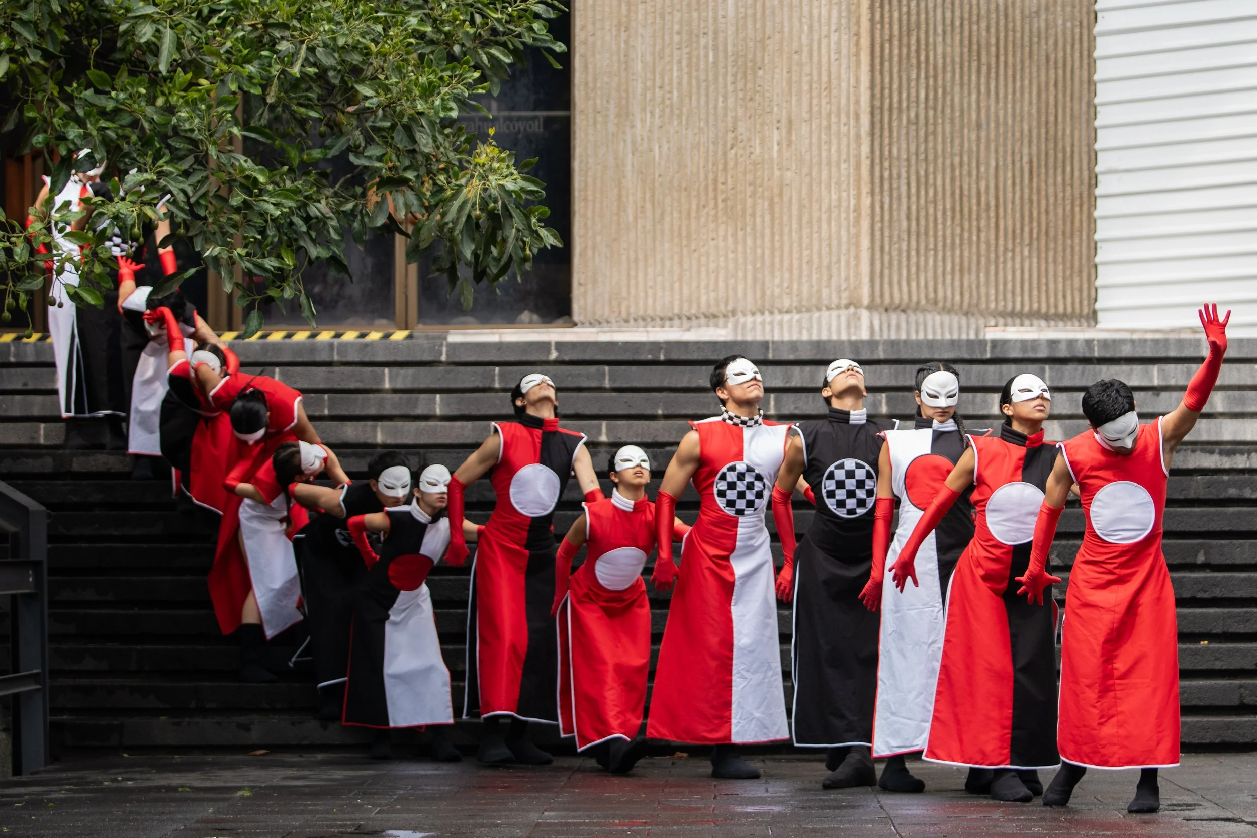DID26UNAM-ESN-CieloComun-ADUNAM-FotoGabrielRamos-Isoptica_DSC2374.jpg