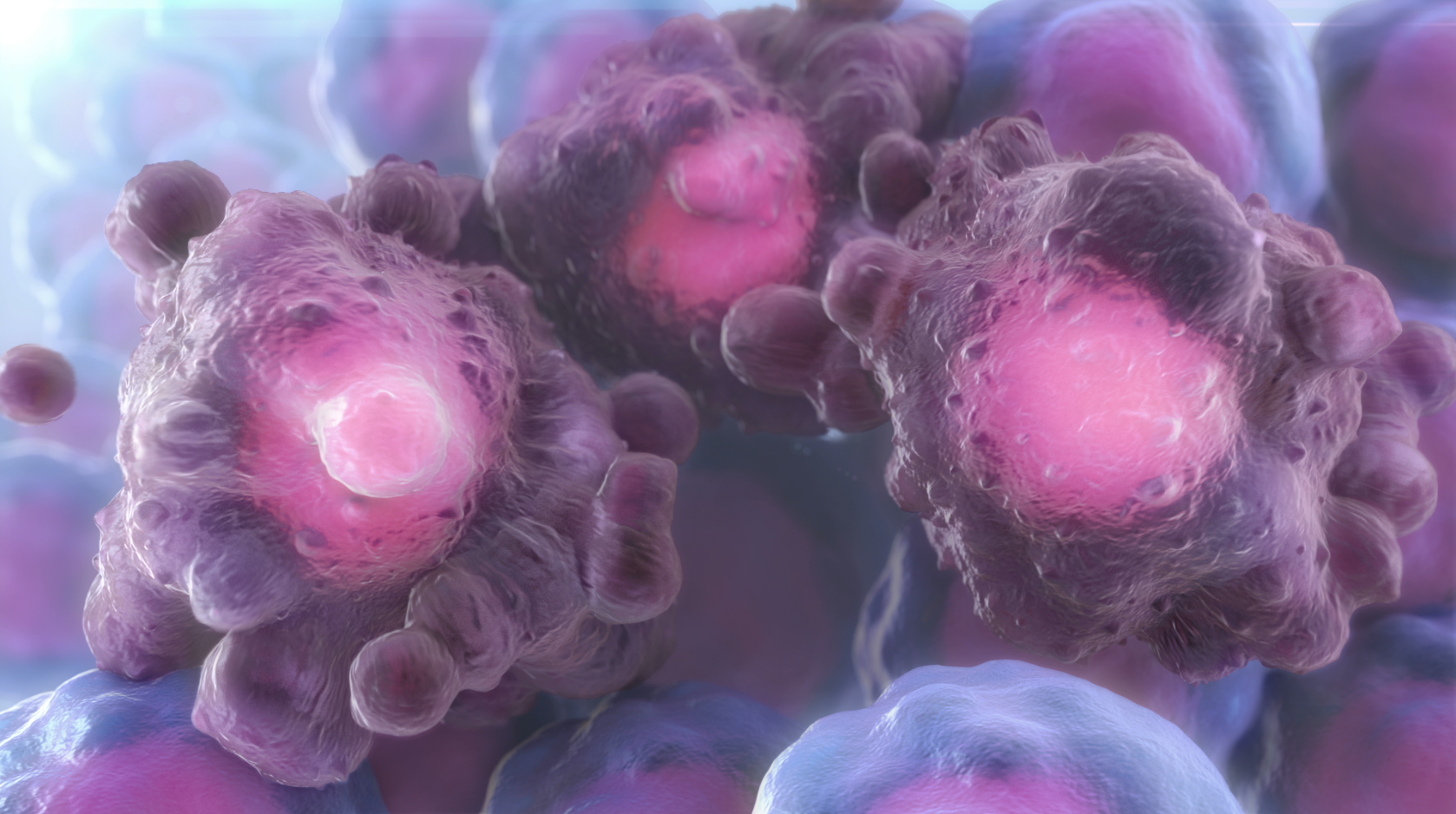 Cells - Apoptosis 2.png