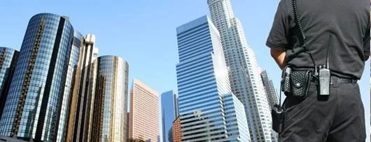 CfP: Symposium on Constitutionalism Under Extreme Conditions