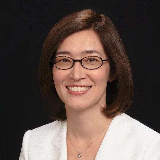 Symposium: Breathing Life into the 1987 Constitution: The Role of Public Interest Lawyers