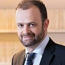 Metaphors and Identity Based Narrative in Constitutional Adjudication: When Judicial Dominance Matters 