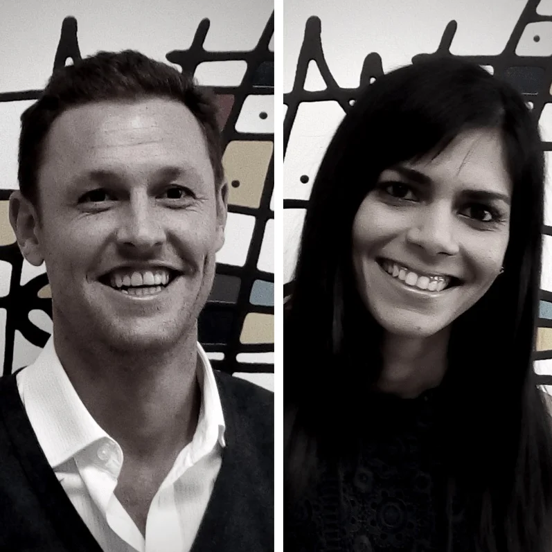 South African High Court Finds Surveillance Law Unconstitutional