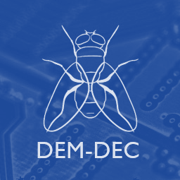 DEM-DEC Research Update Editorial: The UK Elections and the Future of Democracy