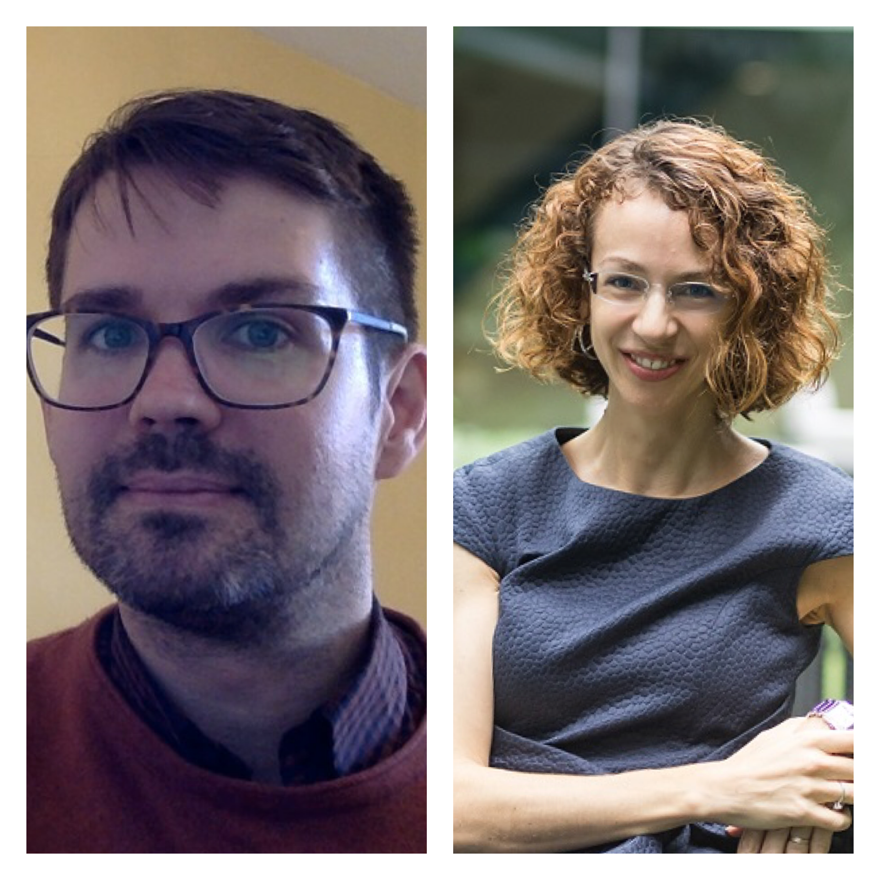 Guest Editors’ Introduction: Symposium on Constitutional Idolatry, Literacy and Identity