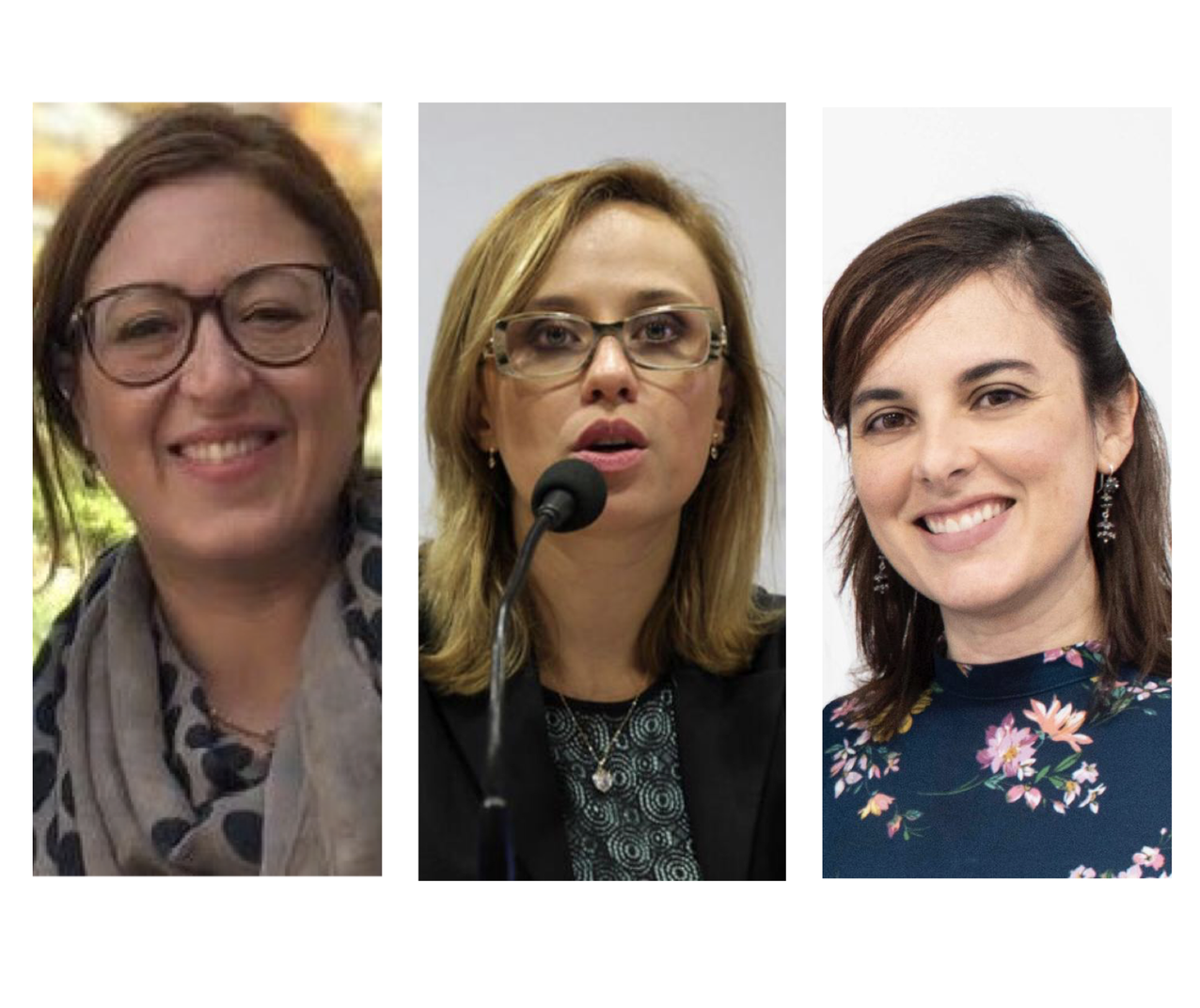 Guest Editors’ Introduction: Symposium on the IACL’s New Research Group on Gender and Constitutions