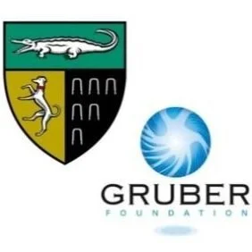 Global Constitutionalism 2021:  Urgency and Legitimacy