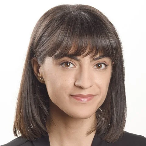 Opposition Alliance in Turkey: Can it Restore Democracy?