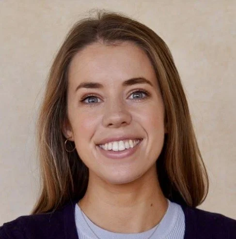 Executive Lawyering Under De Facto Political Constitutionalism in Ireland 