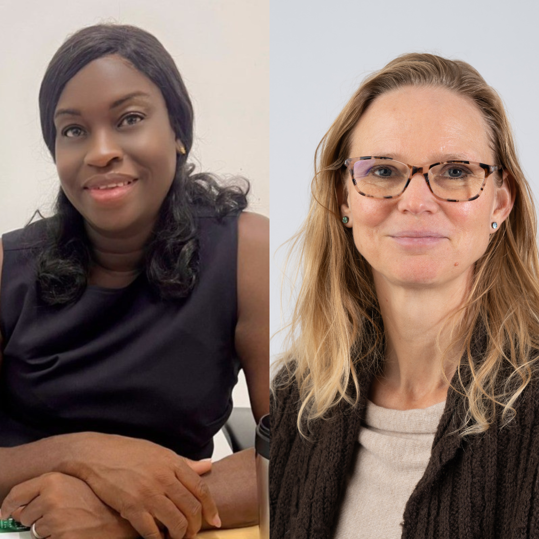 Small-state Constitutionalism and Legal Pluralism – Natural Resource management in Suriname’s tribal habitats