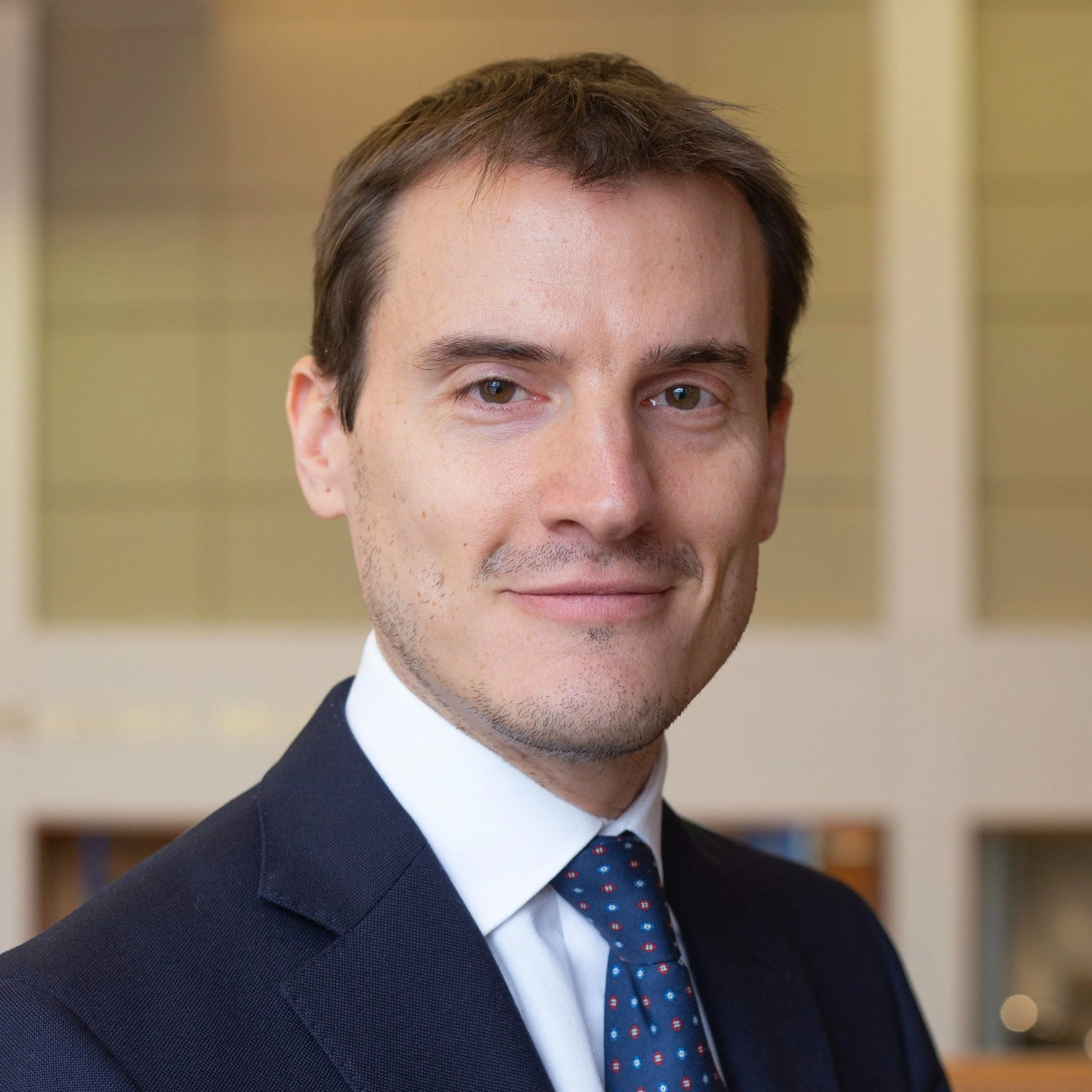 The Updated Rule of Law Checklist of the Venice Commission: Some Preliminary Remarks