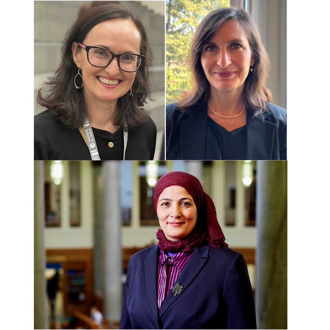 How Can Linguistics Be of Use to Comparative Constitutional Law?