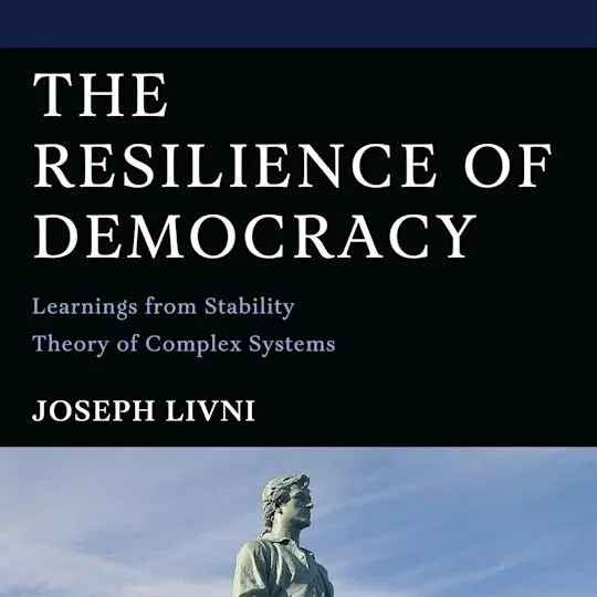 The Resilience of Democracy: Learnings from Stability Theory of Complex Systems