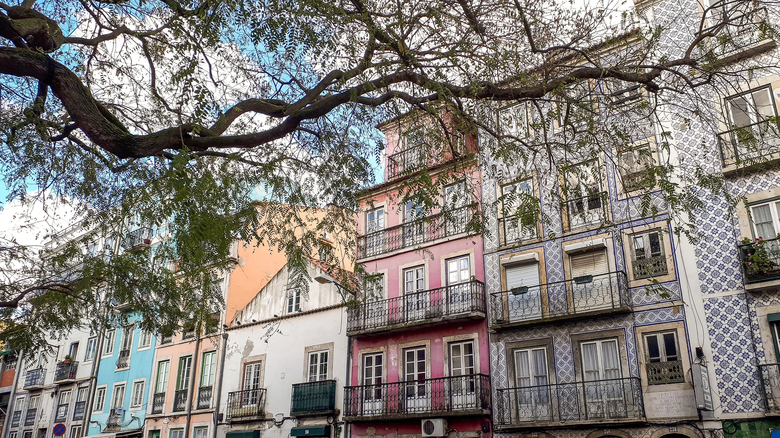 Lisbon1115VictureProd.jpg