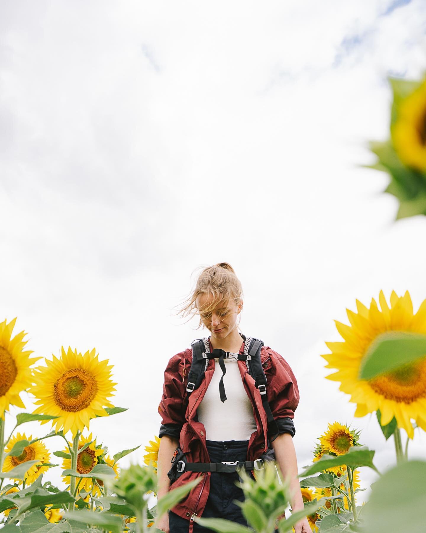 Little portrait of Josie while shooting some shoes for @scarpa_de , this obviously didn&rsquo;t made it to the final selection, but I still love sunflowers on a overcast sky 🥰
.
#portrait #sunflowerportrait #flowerportrait #summerportrait #sunflower