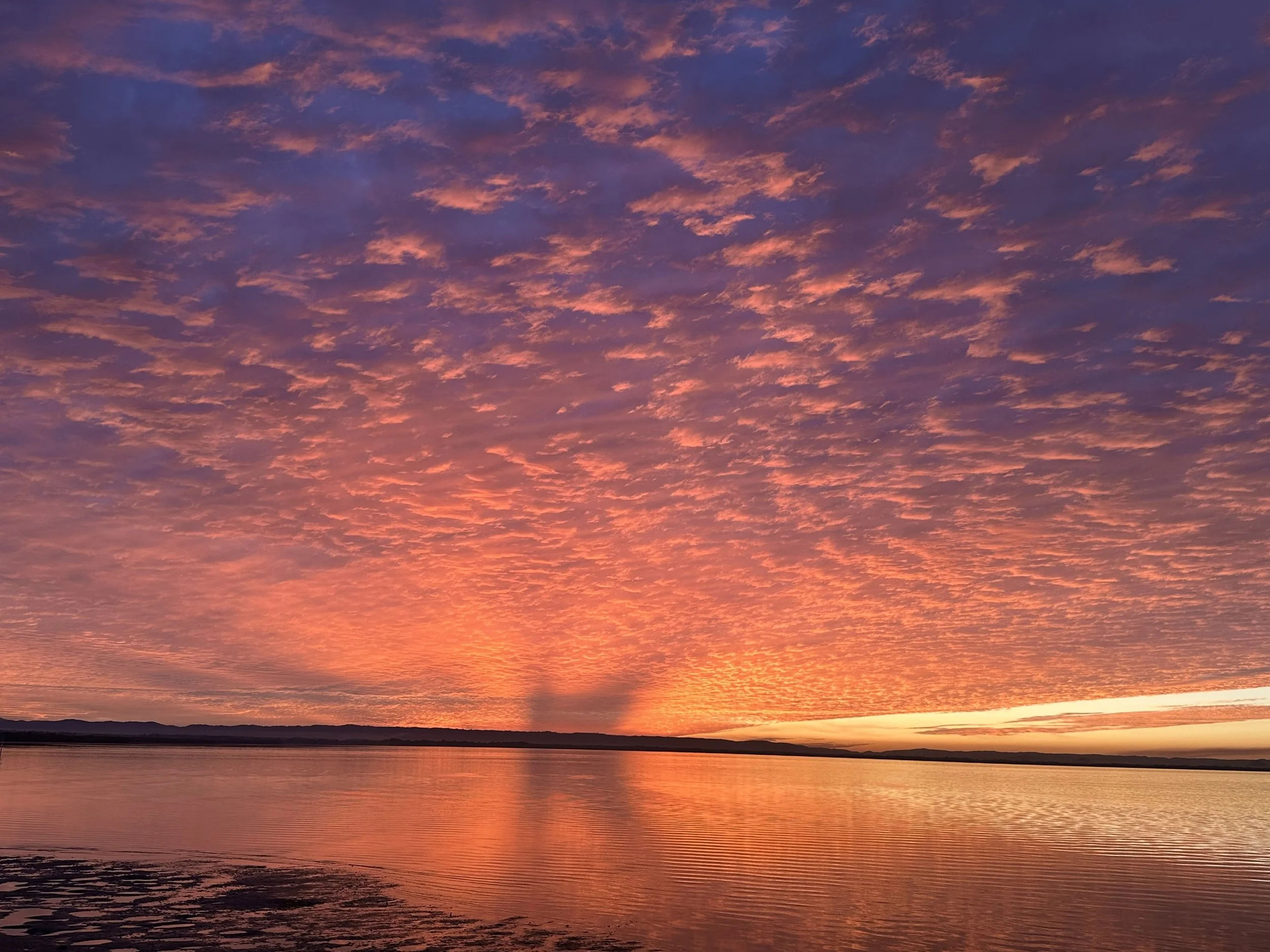 Scarborough sunset 2025.jpg