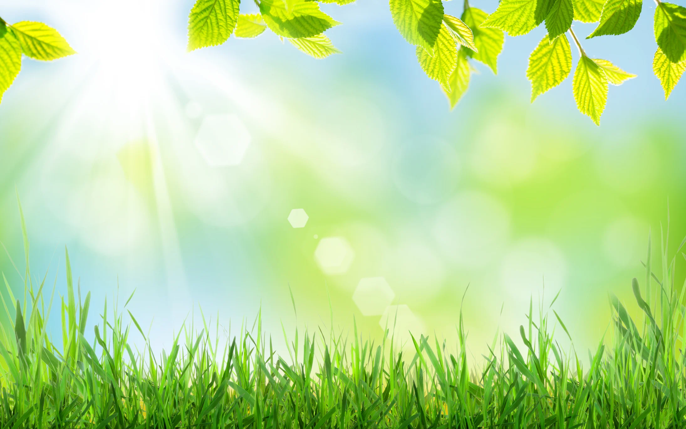 iStock-512105680.jpg