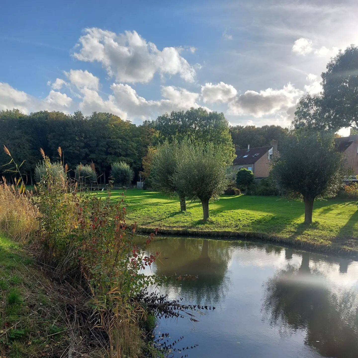 Genieten van de herfst! Vrij spelen en niet continu aan staan is heel belangrijk heb ik het afgelopen jaar gemerkt. Niet alleen maar produceren en effici&euml;nt zijn, maar ook eens stil staan, iets lezen of een wandeling maken. En vanuit dat niet mo