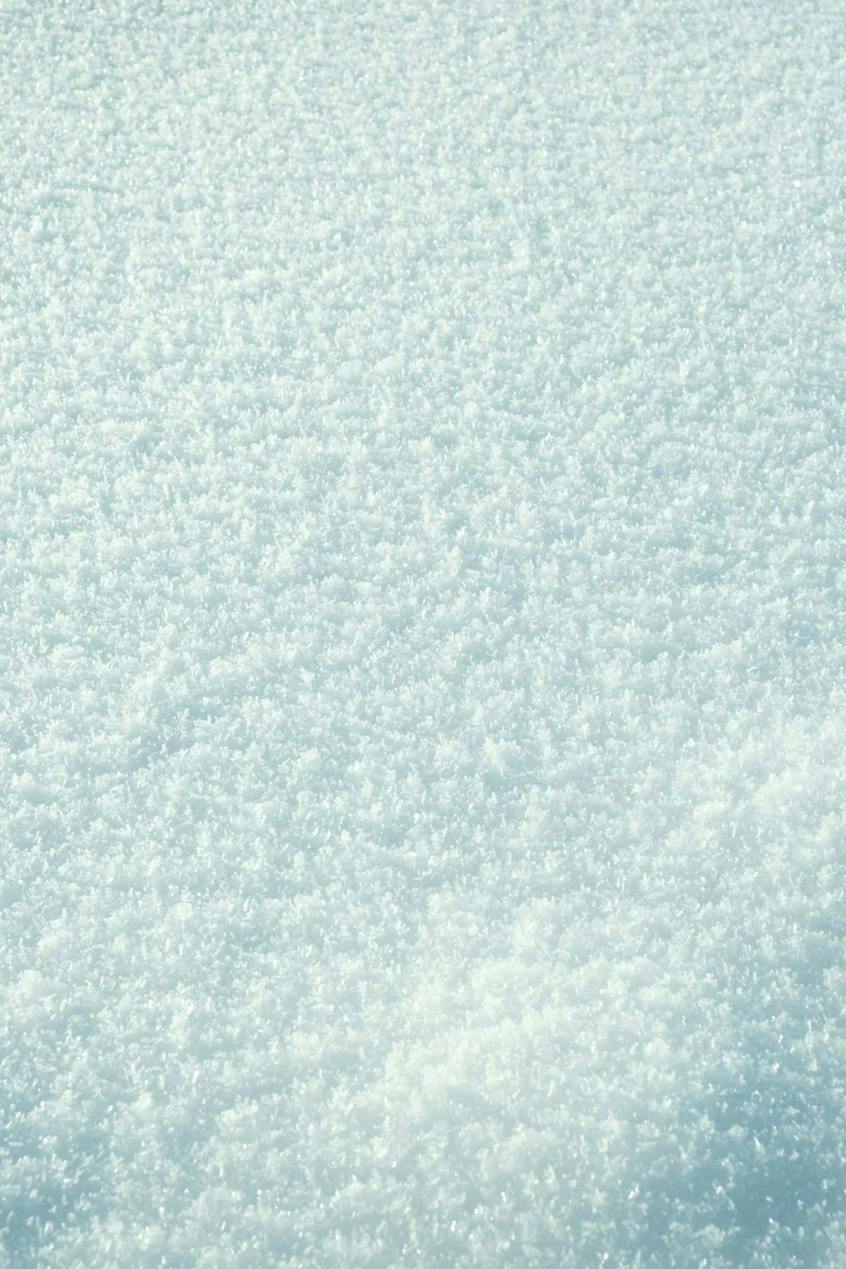 unsplash-image-SrHA3eQeZrw.jpg