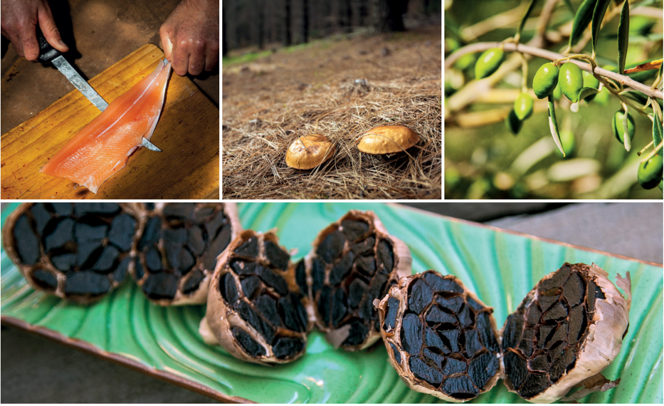 The Shack Forage Experience.png
