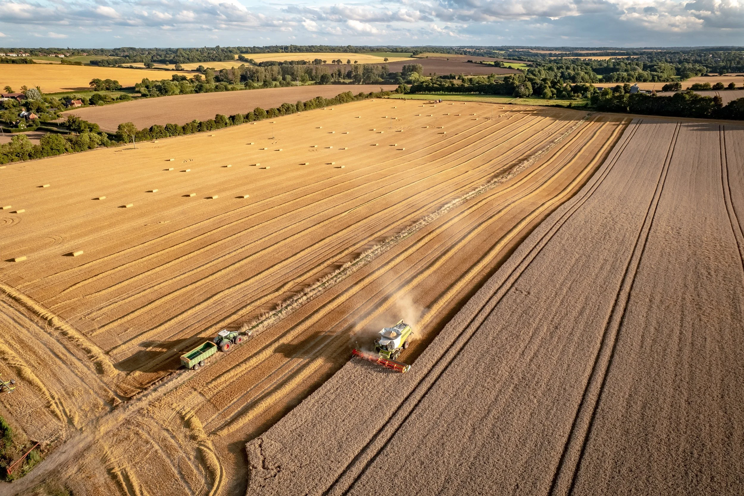 Top options for testing grain moisture on the farm this harvest