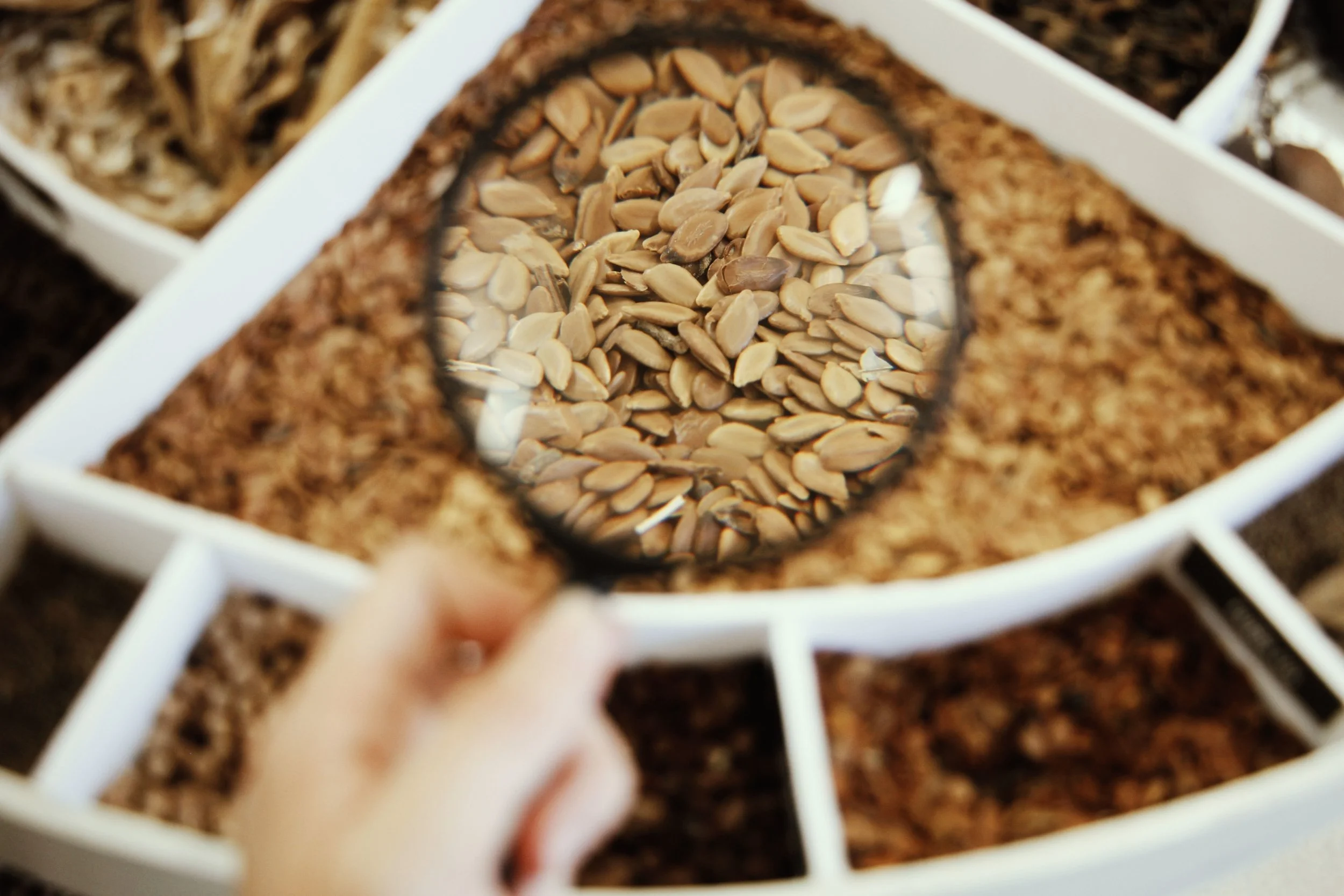 Why is seed testing important?